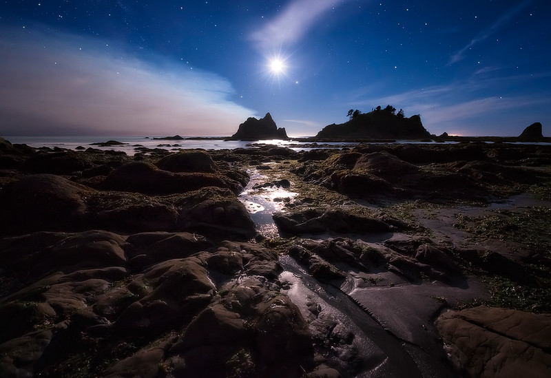 Revelation 21 and 22 in the&nbsp;Millennium